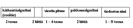 Ktketyn tiedon otsikko